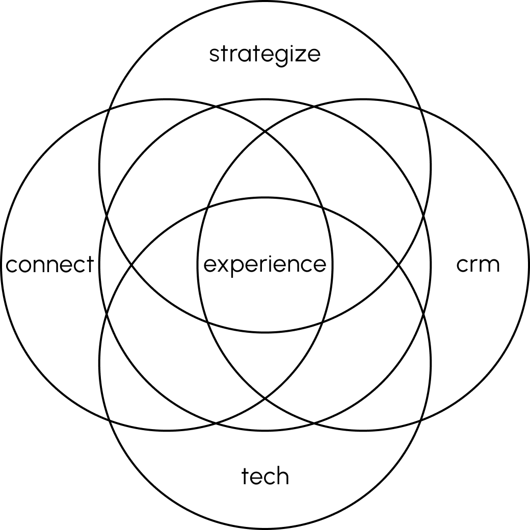 Image showing the five circles strategize, connect, experience, crm and tech of mai group